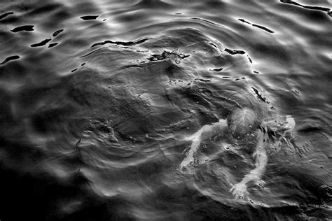 Unraveling the Intricacies: Decoding the Terror Behind Water Submergence Nightmares