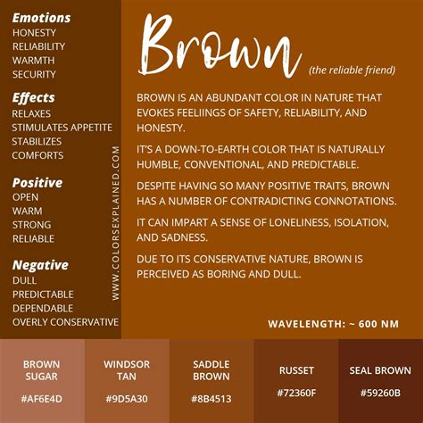 Unraveling the Meaning Behind the Color Brown