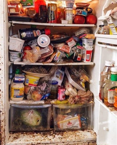 Unraveling the Profound Anxiety Behind Refrigerator Nightmares