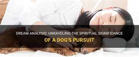 Unraveling the Profound Psychological Significance of Canine Pursuit