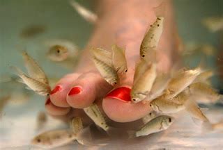Unraveling the Profound Significance Behind Toe Nibbling Reveries