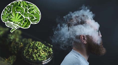 Unraveling the Psychological Significance Embedded in Marijuana-Related Dream Experiences