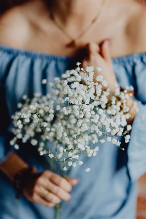 Unraveling the Significance of Baby's Breath in Dreams