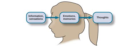 Unraveling the Significance of Bed Visions in Processing Emotional Experiences