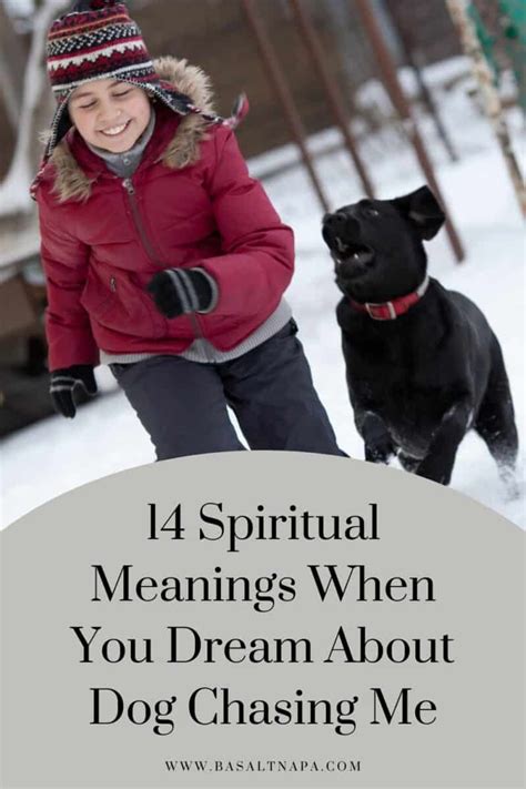 Unraveling the Spiritual Significance of Dreams Involving Dogs Chasing You