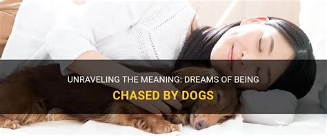 Unraveling the Symbolic Significance of Being Pursued by Canine Predators in One's Dreams