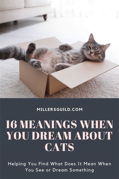 Unveiling the Curative Potential of Dreaming About Felines