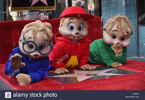 Unveiling the Enchantment with Chipmunks