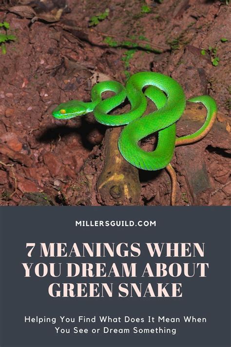 Unveiling the Hidden Meanings behind Baby Green Snake Dreams
