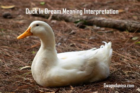 Unveiling the Hidden Meanings behind Dreams of Slicing Waterfowl