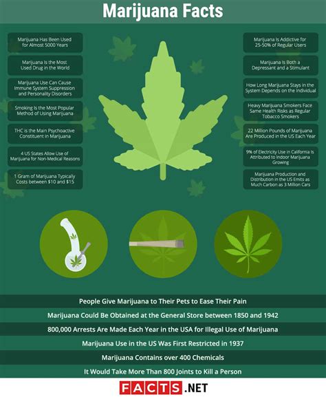Unveiling the Myths and Facts About the Use of Marijuana