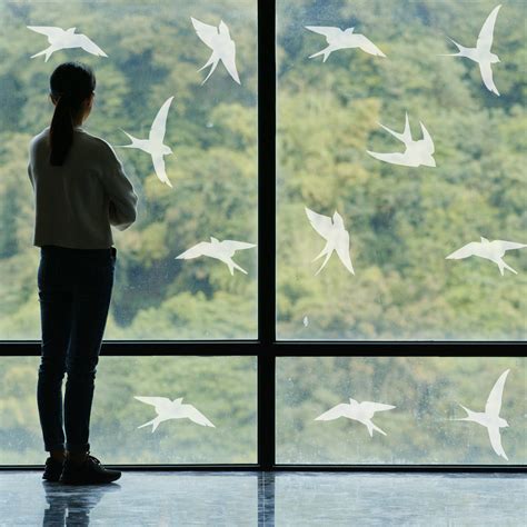 Unveiling the Potential Spiritual Significance of Birds Colliding with Windows in Dreams