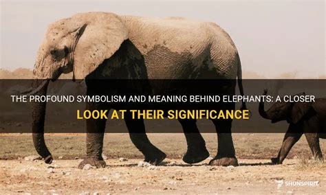 Unveiling the Profound Cultural Significance of Elephants in Mythology and Folklore