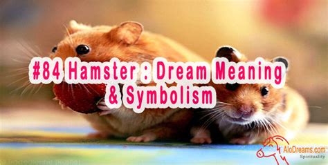 Unveiling the Profound Insights: A Journey of Empowerment through Decoding the Symbolism in Dreams of Hamster Nibbling