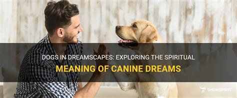 Unveiling the Profound Psychological Significance of Canine Urination in Dreamscapes