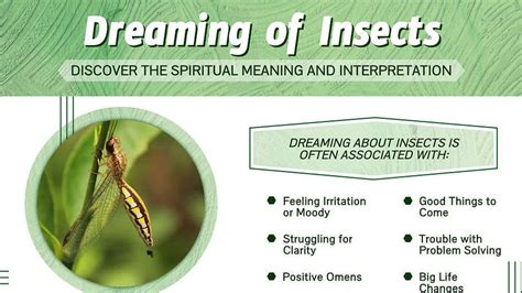 Unveiling the Profound Significance of Insect Dreams