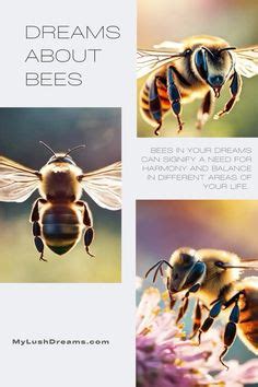 Unveiling the Psychological Significance of Bee Followers in Dreams