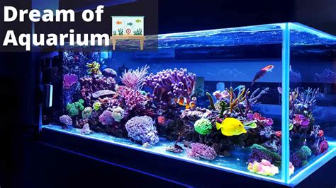 Unveiling the Psychological Significance of Dreaming about Fragmented Aquariums