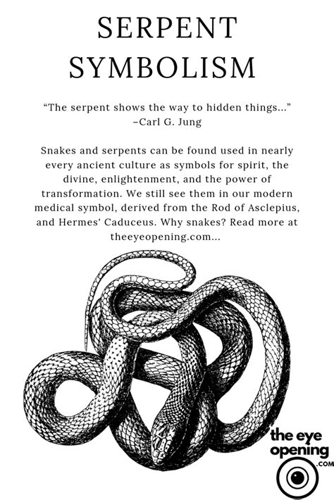 Unveiling the Symbolic Interpretation of Serpents