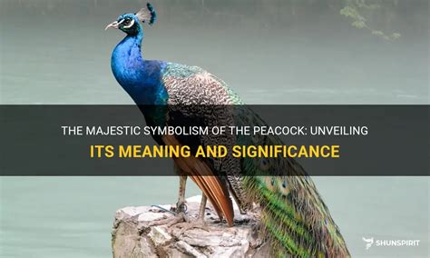 Unveiling the Symbolic Meanings of Peacocks