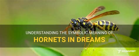 Unveiling the Symbolism behind Hornets in Dreams