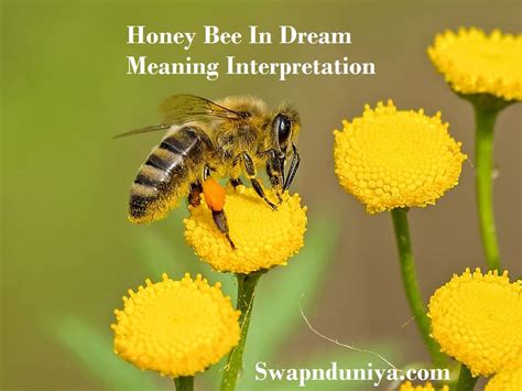 Unveiling the Symbolism of Bees in Dream Interpretation