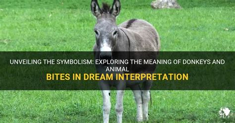 Unveiling the symbolism of getting bitten by a donkey in dreams