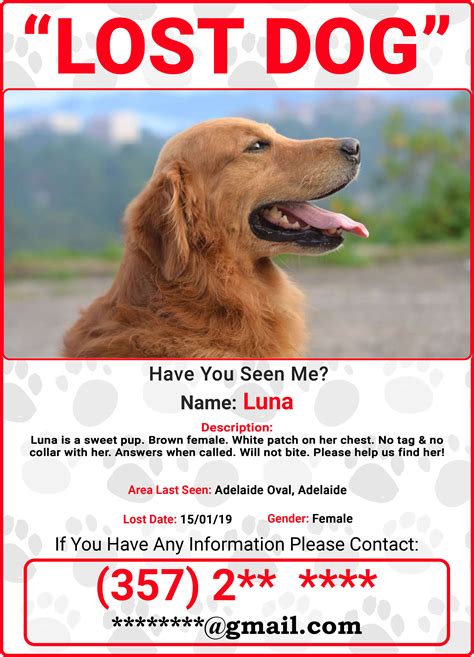 Using Social Media and Online Platforms to Locate Missing Canines