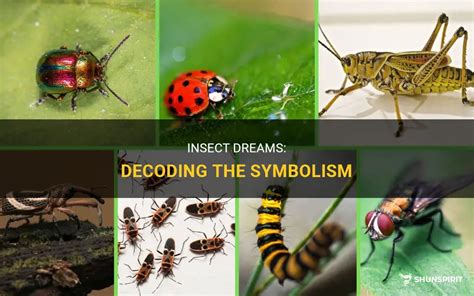 Visions of Insects Cascading from Tresses: Decoding the Symbolic Meaning