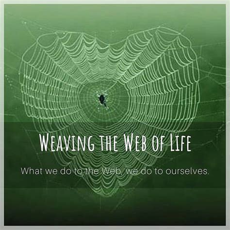 Weaving Connections: Analyzing the Symbolic Link Between Spiders and the Unconscious Mind