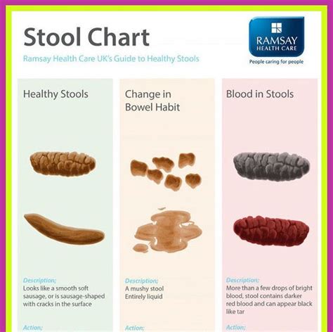 What Does it Mean When You Spot Blood in Your Stool?